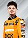 2024 F1 Racing Suit Cik/fia Level 2 F1 Kart Racing Suit In All Sizes