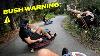 Crazy Cart Nature Trail Mayhem Tandems Pov Avec Notre 900w 48v S